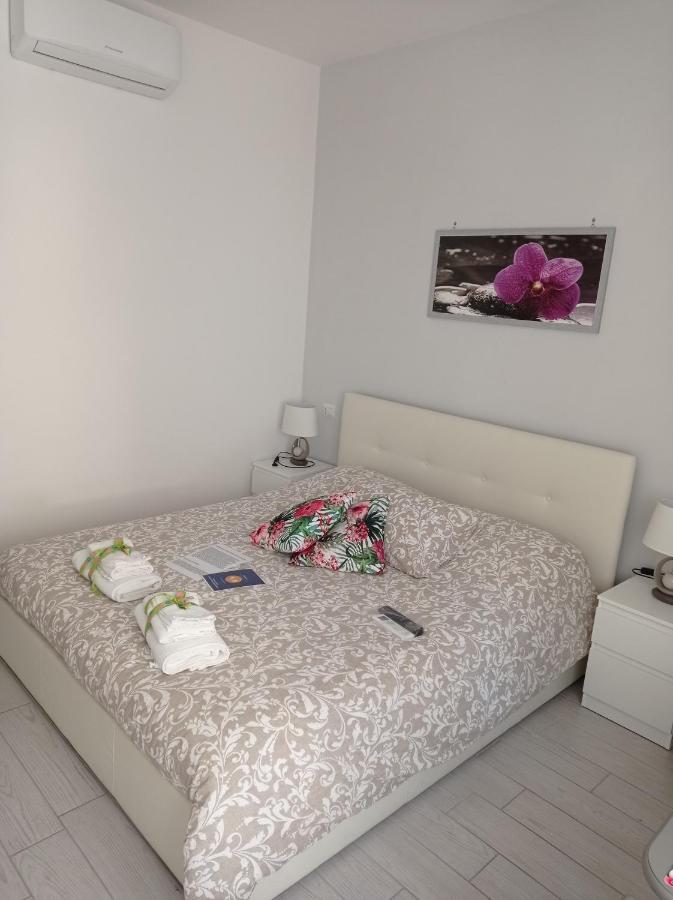 B&B La Palmetta Civitavecchia Exteriör bild